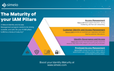 Infographic – How the 4 Pillars Contribute to Identity Maturity