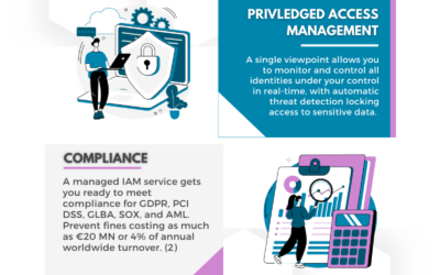 Infographic – Managed IAM in Finance