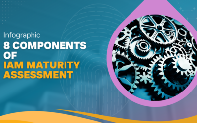 Infographic – 8 Components of IAM Maturity Assessment