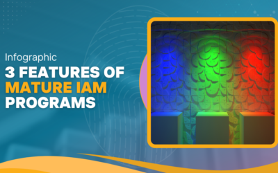 Infographic – Top 3 Features of Mature IAM Programs